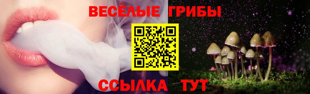Псилоцибиновые грибы мицелий  Псилоцибиновые грибы ЛСД  Подольск  Вход с VPN 